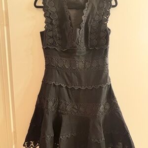 Endless Rose Black Fit and Flare Mini Dress